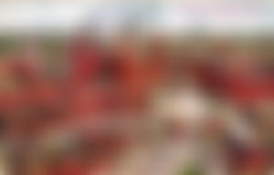 Image post by @HomeOfBud on Twitter