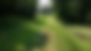 Video post by @TheAGSTour on Twitter