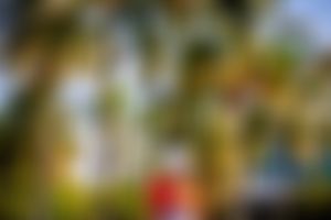 Image post by @canesfootball on Instagram