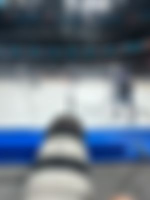 Image post by @Shelly_Doge on Twitter