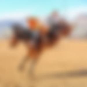 Image post by @ariannagrainey on Instagram