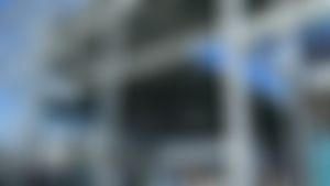 Image post by @Shelly_Doge on Twitter