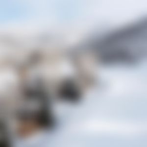 Image post by @arrowheadatvail on Instagram