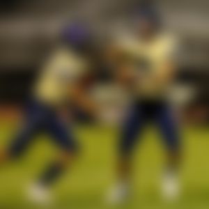 Image post by @ariannagrainey on Instagram