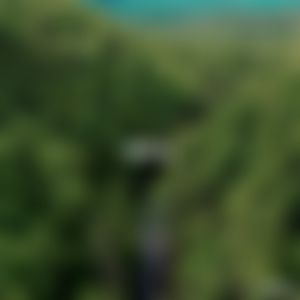 Video post by @betr on Twitter