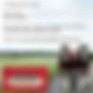 Image post by @WarmSpringRanch on Twitter