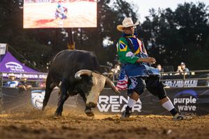 Image post by @ultimatebullfighters on Instagram