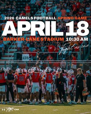 Image post by @gocamelsfb on Instagram