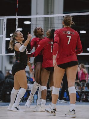 Image post by @wyldfilm on Instagram