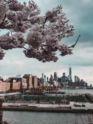 Image post by @azaccardo on Instagram