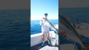 Video post by @daltonmauldin5 on YouTube