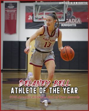 Image post by @arcadia_knights on Instagram