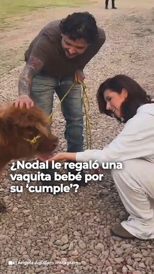 Image post by @univisionfamosos on Instagram
