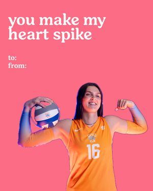 Image post by @vol_vball on Instagram