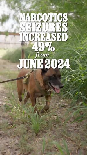 Video post by @secretarymullin on Facebook