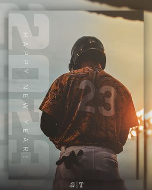 Image post by @gowoodducks on Instagram