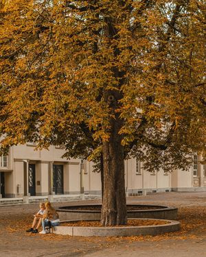 Image post by @roosanchez on Instagram