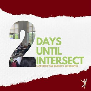 Image post by @elon_intersect on Instagram