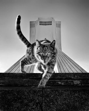 Image post by @fubiz on Instagram