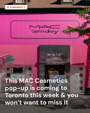 Image post by @curiocitytoronto on Instagram