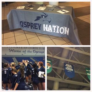 Image post by @unfospreys on Instagram