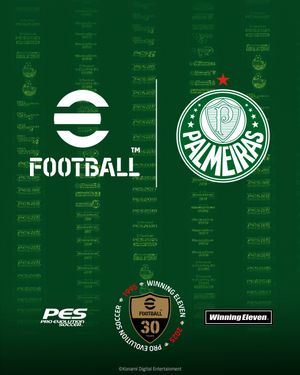 Image post by @palmeiras on Instagram