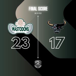 Image post by @mo_mastodons on Instagram