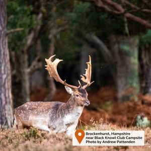 Image post by @candmclub on Instagram