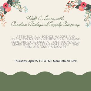 Image post by @Elon_Careers on Twitter