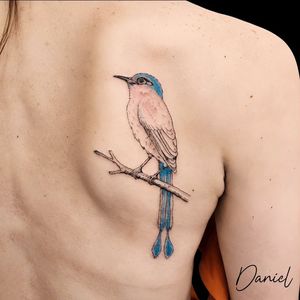 Image post by @whitesloth.tattoo on Instagram