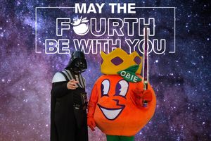 Image post by @orangebowl on Instagram