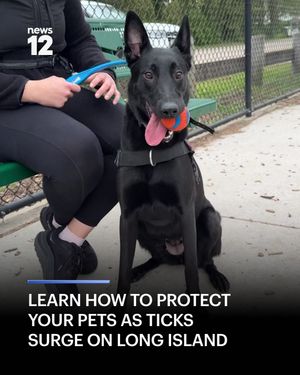 Image post by @news12li on Instagram