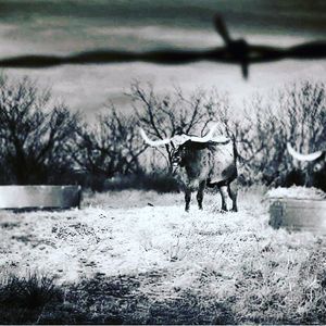Image post by @texasmoody on Instagram