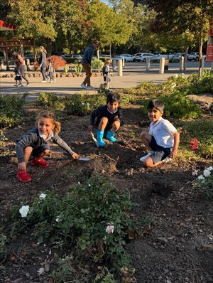 Image post by @shsatherton on Instagram