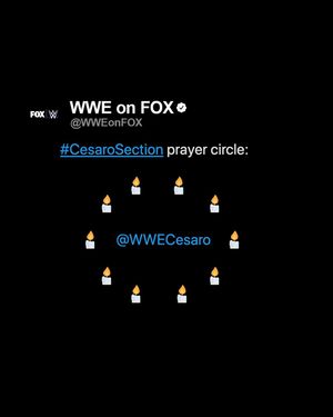 Image post by @wweonfox on Instagram