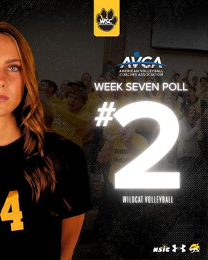 Text post by @WSCWildcatVB on Twitter/X