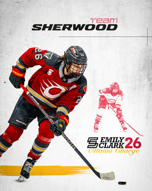 Image post by @sherwoodhockey on Instagram