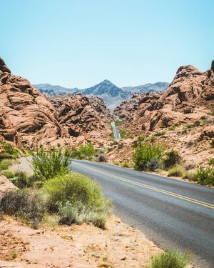 Image post by @_matthewcletus on Instagram