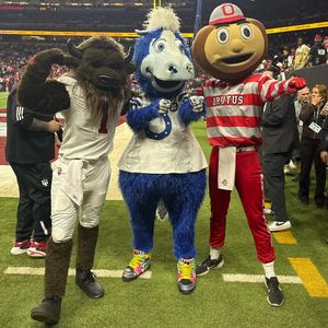 Image post by @hoosierthebison on Instagram