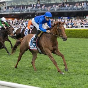 Image post by @godolphin on Instagram