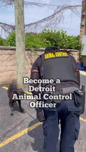 Video post by @DetroitGSD on Facebook