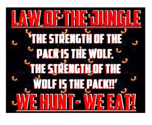Image post by @CoachZenner on Twitter