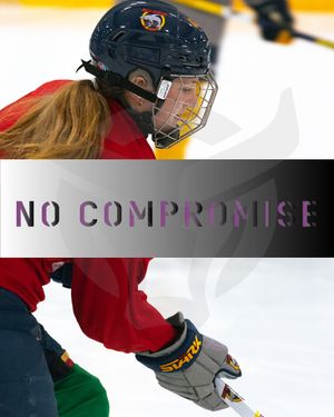 Image post by @starkhockey on Instagram