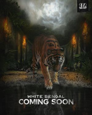 Image post by @Bengals on Twitter