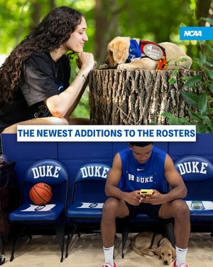 Image post by @ncaa on Instagram