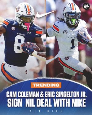 Image post by @nameimagelikeness on Instagram