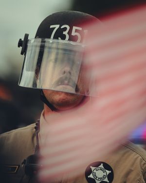 Image post by @johncottermedia on Instagram