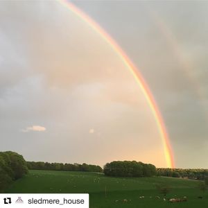 Image post by @candmclub on Instagram