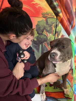 Image post by @lacemorris3 on Instagram