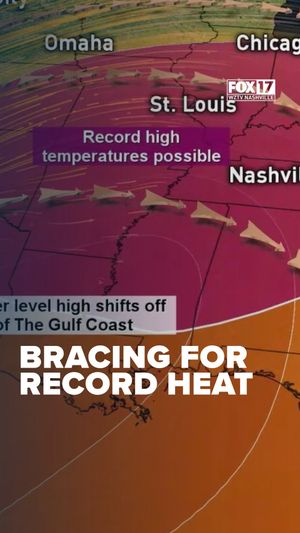Image post by @foxnashville on Instagram